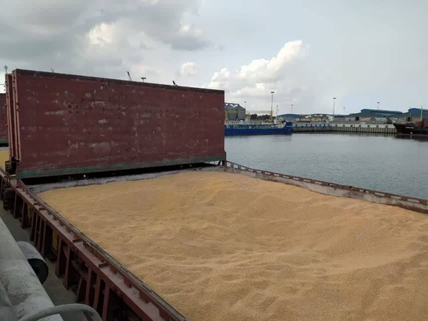 بابایی: نهادههای دامی گیلان با نظارت دقیق ترخیص می شوند بابایی: نهادههای دامی گیلان با نظارت دقیق ترخیص می شوند