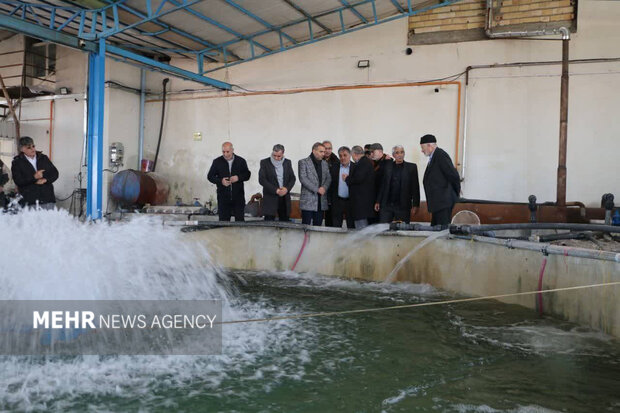 اله بخش:رونق صنعت آبزی‌پروری مشگین‌شهر اولویت اصلی است