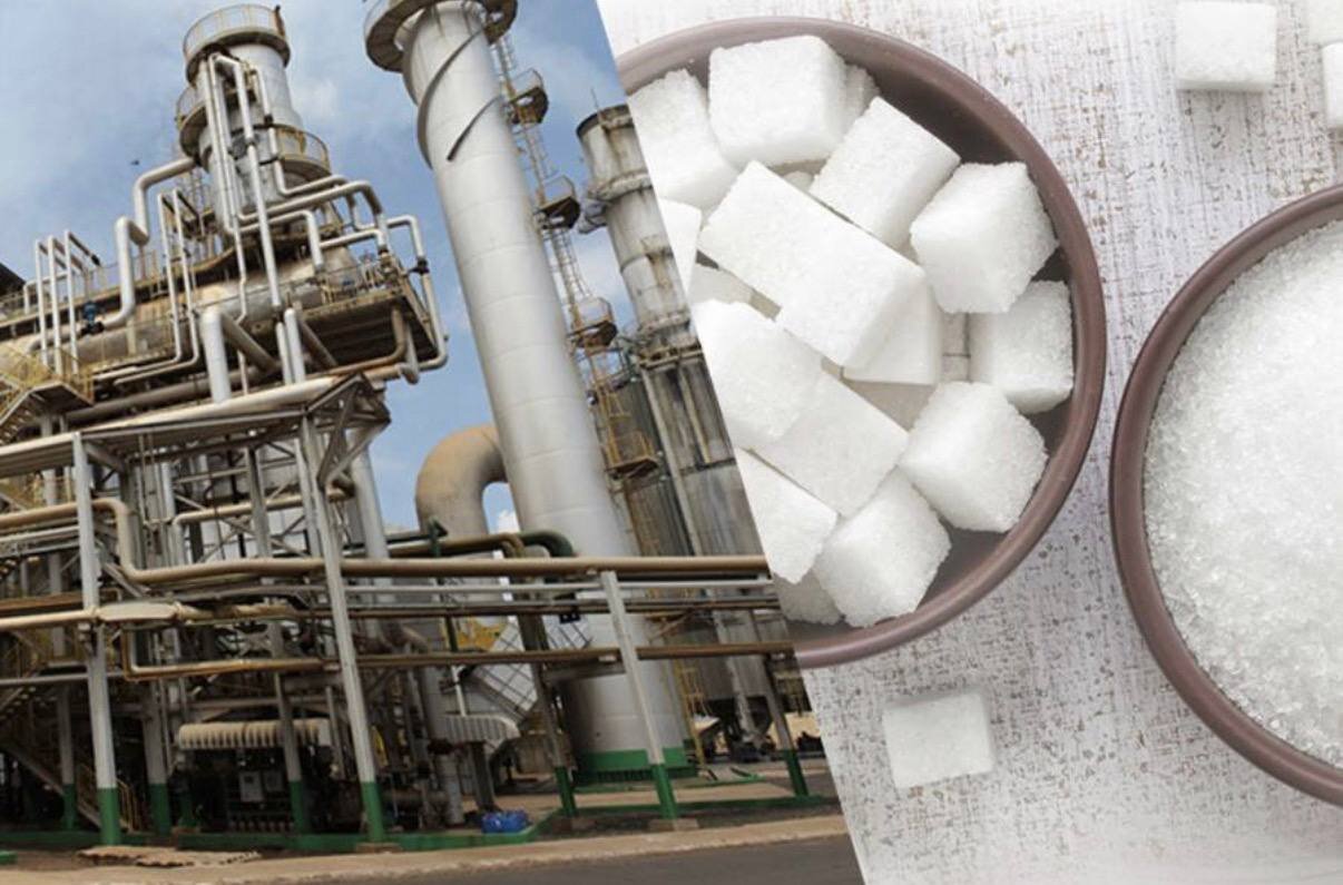 اعلام نظر سازمان غذا و دارو درباره روند تولید قند و شکر – خبرگزاری مهر | اخبار ایران و جهان اعلام نظر سازمان غذا و دارو درباره روند تولید قند و شکر – خبرگزاری مهر | اخبار ایران و جهان