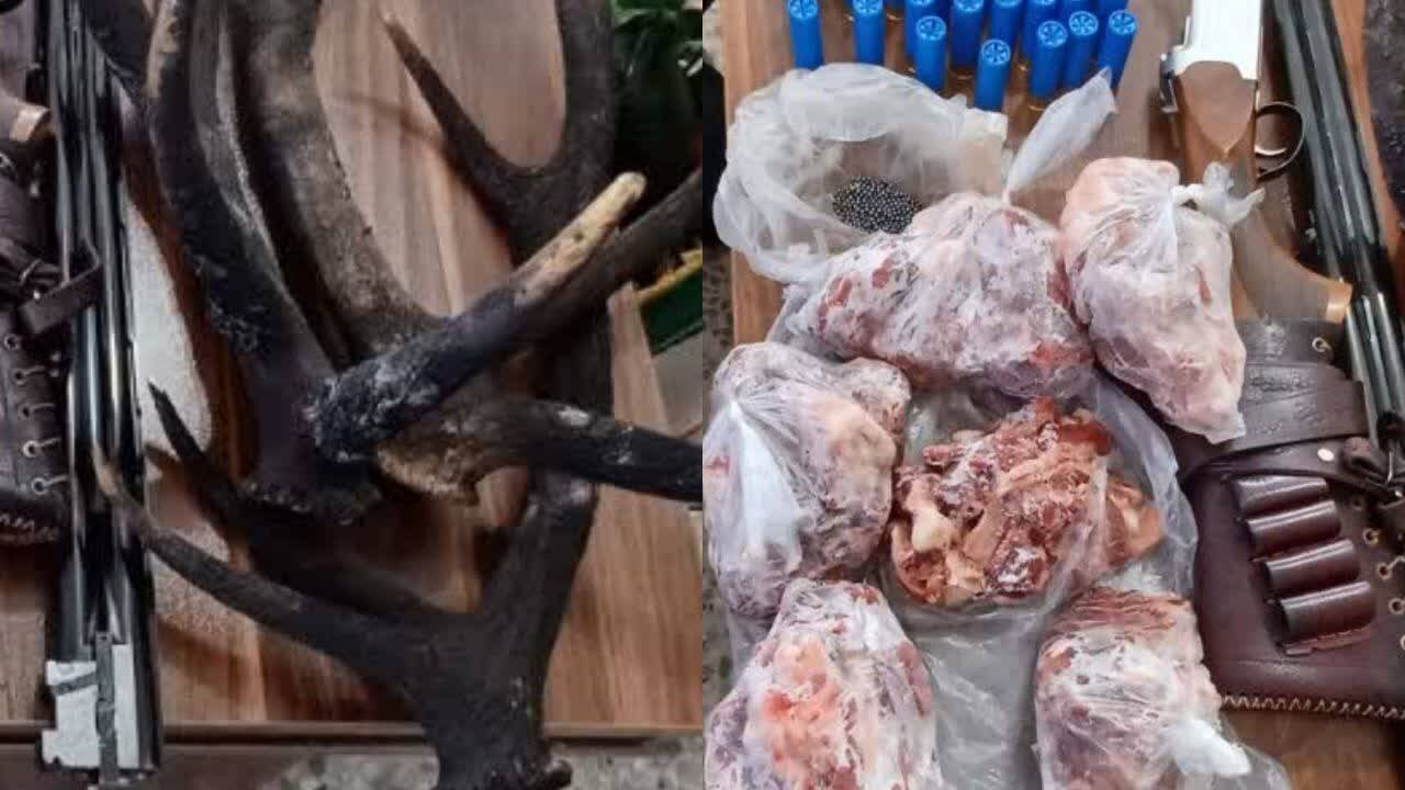 کشف لاشه مرال و سلاح غیر مجاز در رودبار