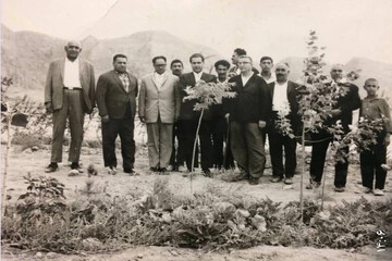 پرداختن به دغدغه اتحاد و محیط زیست؛ چگونه درختان شهر را نجات دادند؟