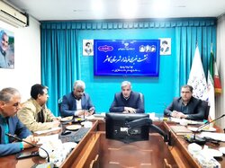 بهره برداری و کلنگ زنی ۱۱۳ پروژه همزمان با دهه فجر در کاشمر