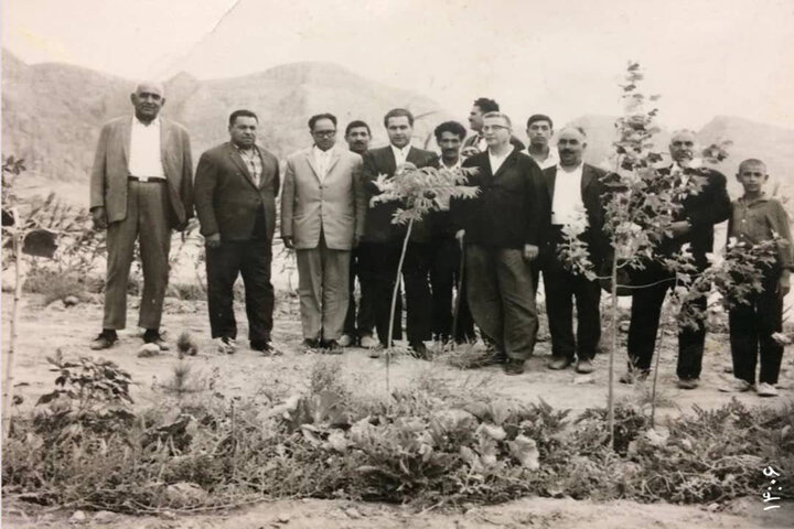 پرداختن به دغدغه اتحاد و محیط زیست؛ چگونه درختان شهر را نجات دادند؟