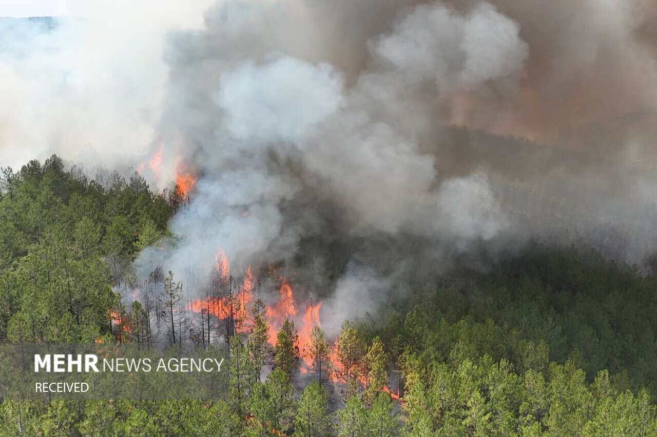 ۱۵ هکتار از مراتع و جنگلهای گیلان طعمه آتش شد ۱۵ هکتار از مراتع و جنگلهای گیلان طعمه آتش شد