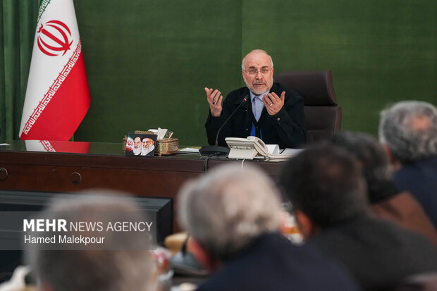 دیدار وزیر علوم و جمعی از رؤسای دانشگاه‌های سراسر کشور با رئیس مجلس