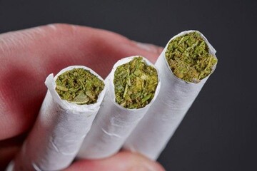 توقیف کامیون حامل سبزیجات با ۷۴ کیلوگرم ماده مخدر در آستارا