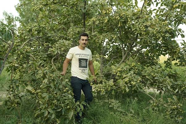 مسیر میانبر میلیاردر شدن تنها با خرید طلا و دلار نمی باشد