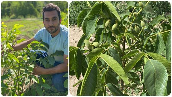 مسیر میانبر میلیاردر شدن تنها با خرید طلا و دلار نمی باشد