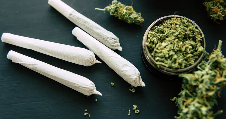 زدن این گل؛ گل به خودی است!