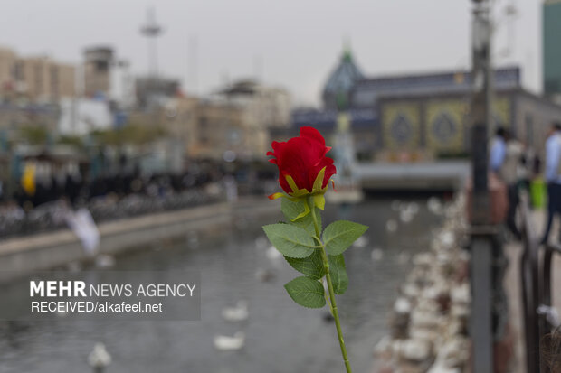 حال و هوای کربلا در ایام ولادت امام زمان (ع)