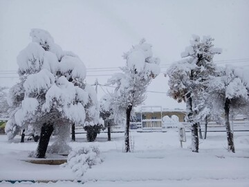 بیشترین بارندگی‌های لرستان در «شول‌آباد» ثبت شد؛ بارش ۲۰ سانتی‌متر برف