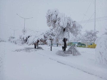 بارش برف و باران در راه آذربایجان‌شرقی؛ احتمال طغیان رودخانه‌ها