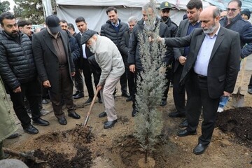 آغاز کاشت ۲۵ هزار نهال در بوستان چیتگر با پویش «احیا چیتگر»