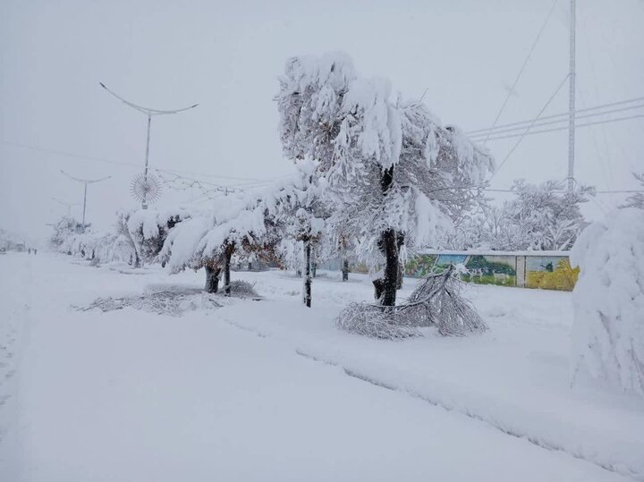 برف رحمت در میلادِ منجی؛ فریدن سفیدپوش شد