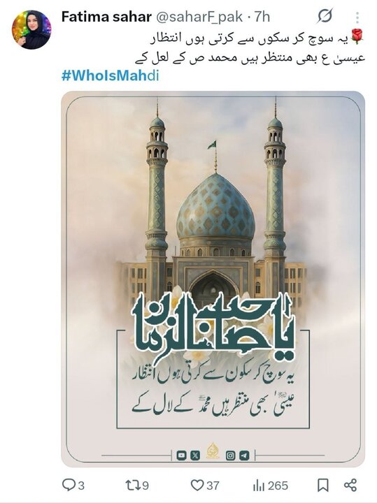 نیمه شعبان؛واکنش کاربران زبانهای خارجی به کارزار «مهدی کیست؟»+ تصاویر