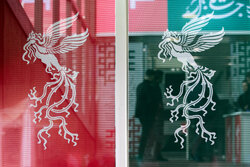 اکران جشنواره فیلم فجر در یاسوج آغاز شد