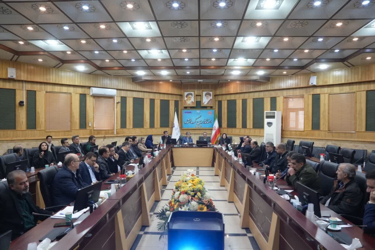 نجفی: دسترسی مناسب حق قانونی افراد دارای معلولیت است نجفی: دسترسی مناسب حق قانونی افراد دارای معلولیت است