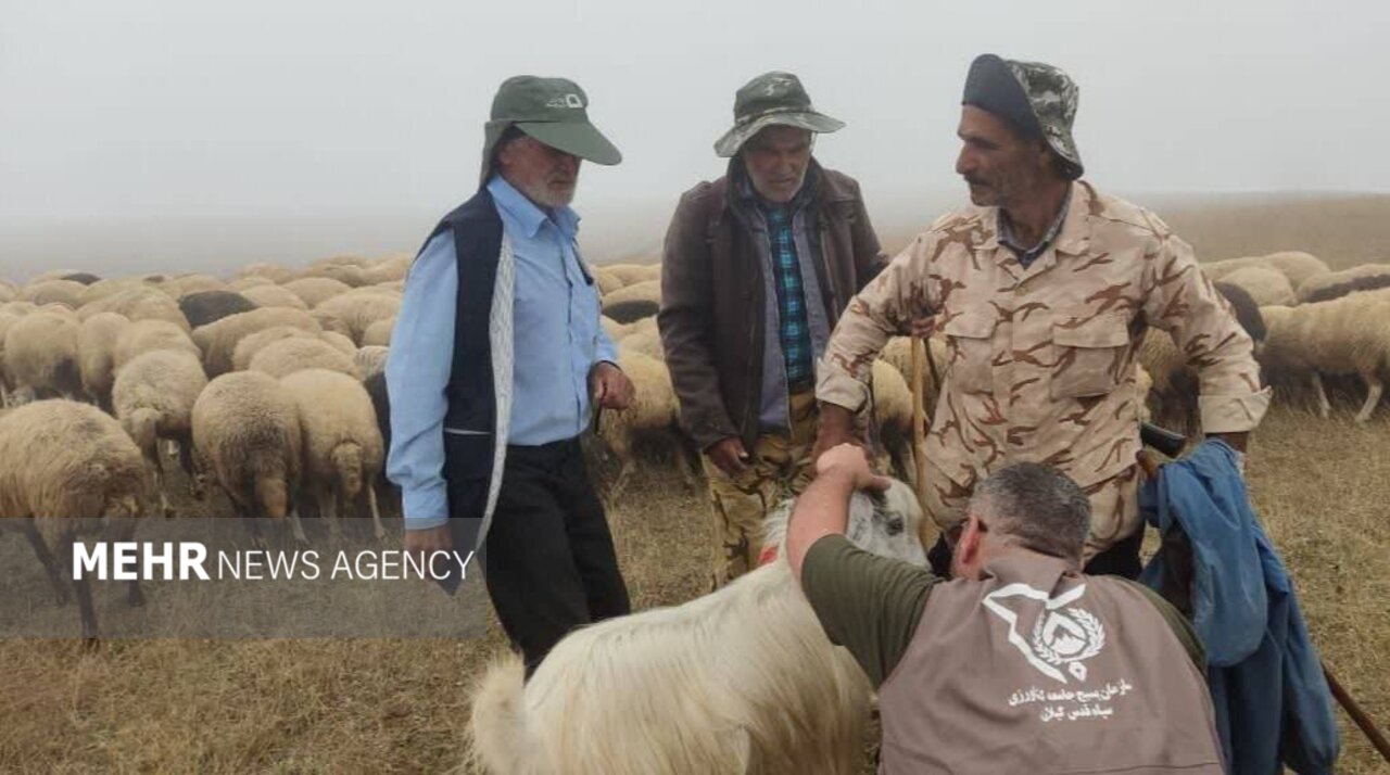 ۴ هزار رأس دام عشایری گیلان رایگان ویزیت شدند ۴ هزار رأس دام عشایری گیلان رایگان ویزیت شدند