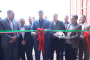 فاز نخست یک مگافارم دام سبک در مهریز افتتاح شد