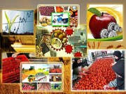 لرستان در آزمون توسعه؛ آیا نقشه‌راه و سرمایه ۴۰ همتی به ثمر می‌نشیند؟