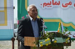 ساعدپناه: ۷۵ پروژه برق‌رسانی طی دهه فجر در هرمزگان افتتاح می‌شود