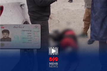 لحظه هلاکت سرکرده تروریست‌های تهرانپارس