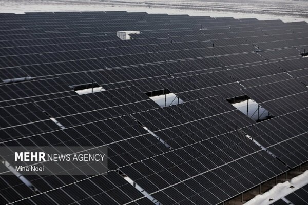 برق،بوشهر،استان،تومان