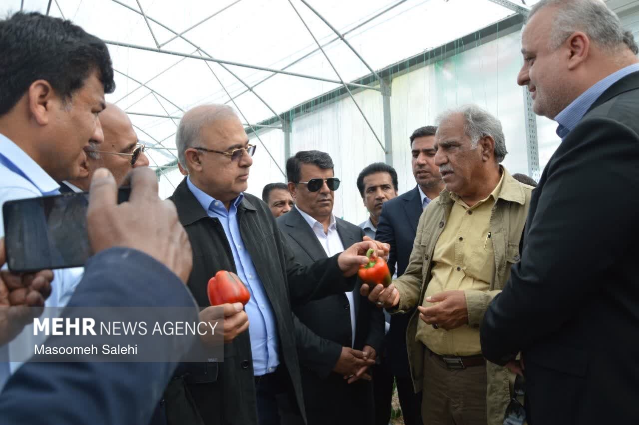 استان،كشاورزي،پروژه،هرمزگان،جهاد،گلخانه،كشت،هكتار،محصول