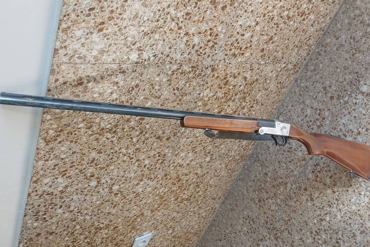 اسلحه،حفاظت،شهرستان،دهگلان،شيدا،حميدي