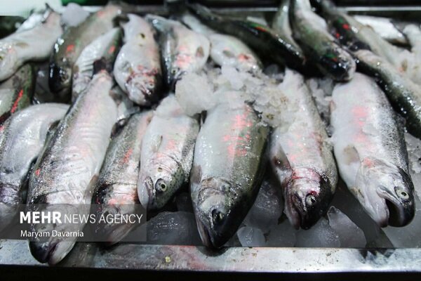 استان،توليد،آب،آبزيان،پرورش،آرتميا،درياچه،ماهي،تن،سردآبي