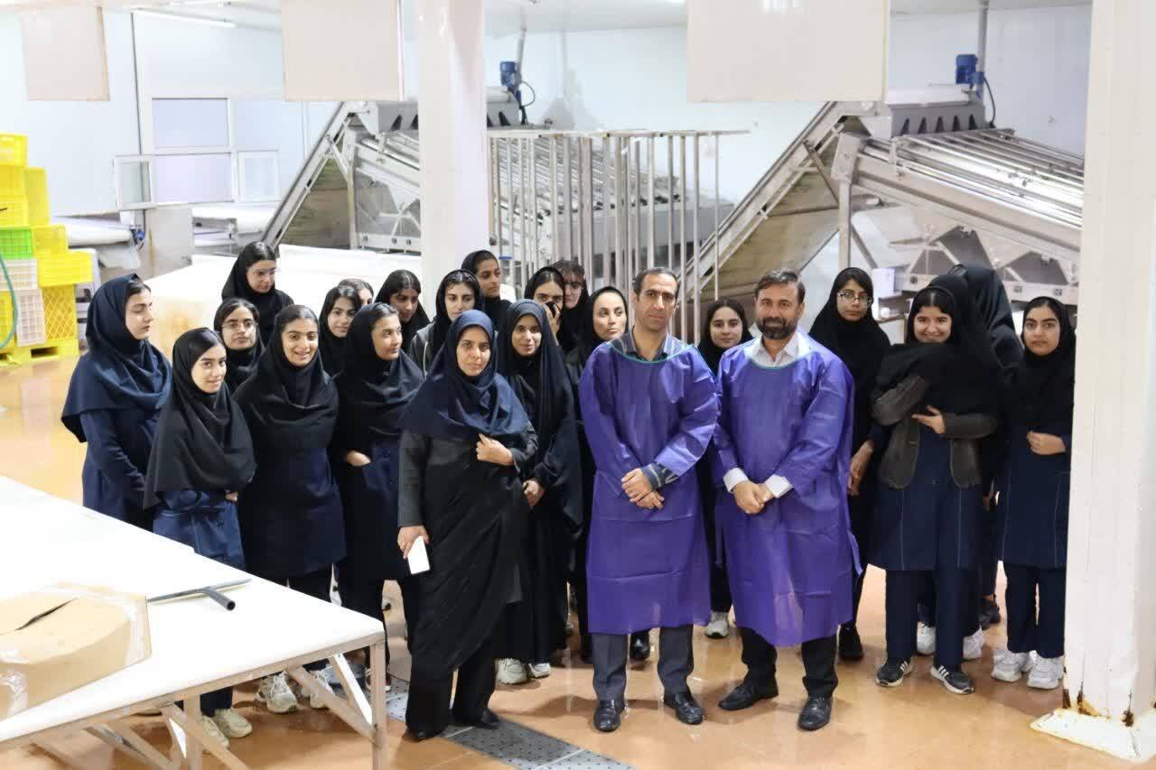 دامپزشكي،شهرستان،صيد،آبزيان،ماهيان،سلامت،غذايي،توليد،صيادي،ف ...