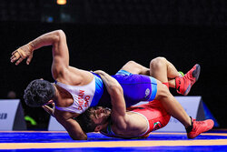 نفرات برتر چهار وزن نخست رقابت‌های کشتی فرنگی مشخص شدند