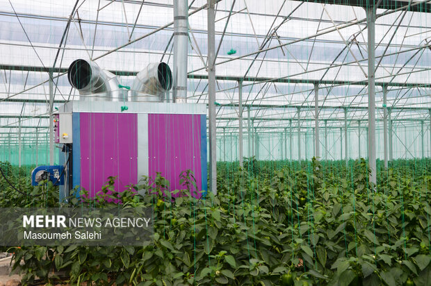 افتتاح و کلنگ‌زنی پروژه‌های شهرستان میناب و رودان در دهه فجر