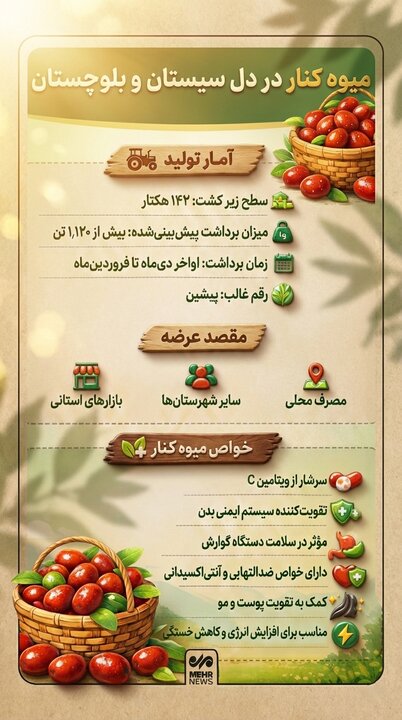 اینفوگرافیک؛ میوه «کنار» در قلب بلوچستان ایران