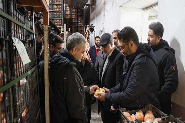 ميوه،تامين،بازار،تهران،شهرداري،عيد،كالاها،شب،گودرزي،بازارهاي ...