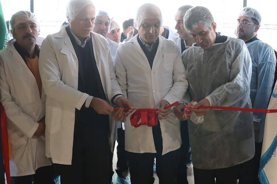 استاندار گیلان: پروژههای دهه فجر باعث رونق اقتصاد و اشتغال میشوند استاندار گیلان: پروژههای دهه فجر باعث رونق اقتصاد و اشتغال میشوند