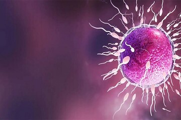 كلّ شيء عن الأم البديلة وأطفال الأنابيب في إيران