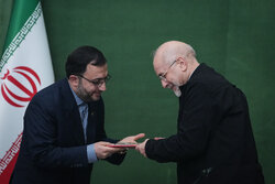 دیدار اعضای شورای هماهنگی دهه فجر با رئیس مجلس شورای اسلامی