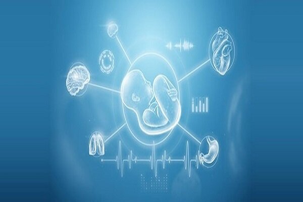 كلّ شيء عن الأم البديلة وأطفال الأنابيب في إيران