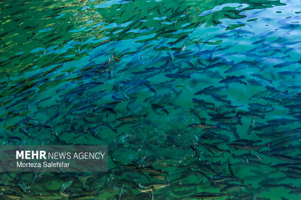 بیستم بهمن‌ماه؛ روز چهارمحال و بختیاری