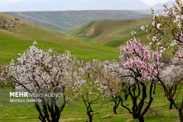 بیستم بهمن‌ماه؛ روز چهارمحال و بختیاری
