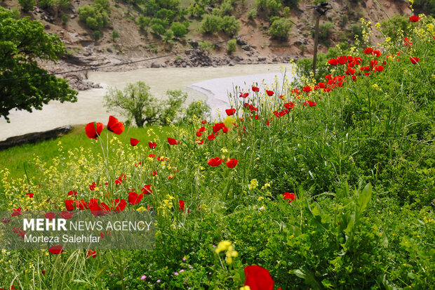 بیستم بهمن‌ماه؛ روز چهارمحال و بختیاری