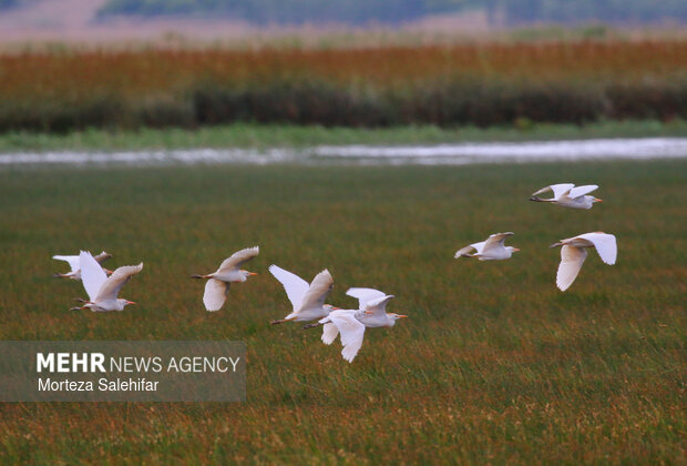 بیستم بهمن‌ماه؛ روز چهارمحال و بختیاری