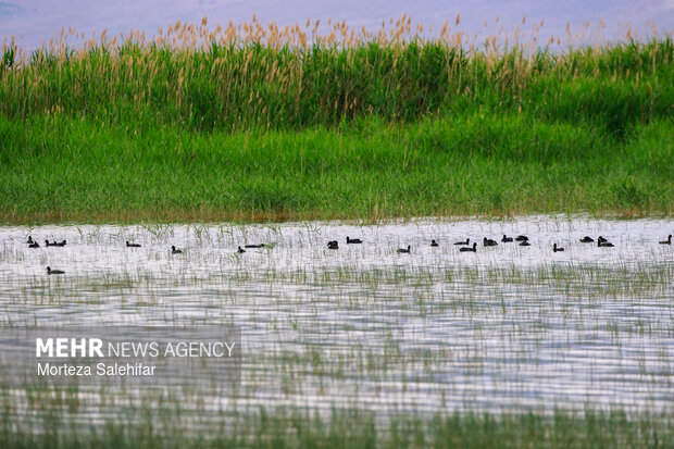 بیستم بهمن‌ماه؛ روز چهارمحال و بختیاری
