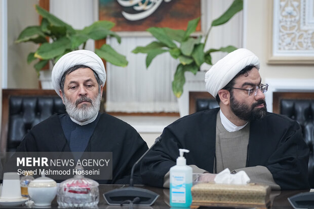 دیدار اعضای شورای هماهنگی دهه فجر با رئیس مجلس شورای اسلامی