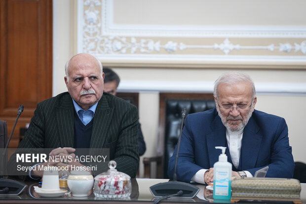 دیدار اعضای شورای هماهنگی دهه فجر با رئیس مجلس شورای اسلامی