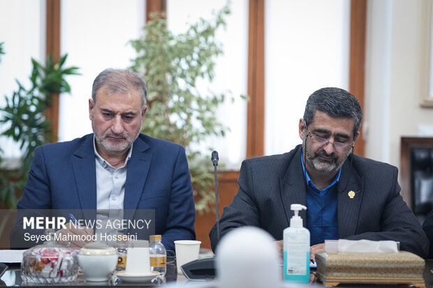 دیدار اعضای شورای هماهنگی دهه فجر با رئیس مجلس شورای اسلامی