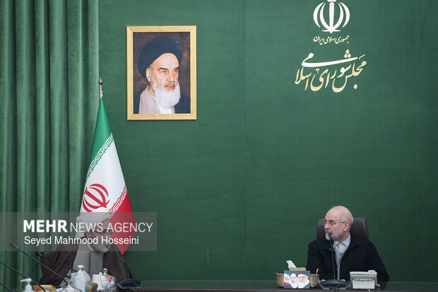 دیدار اعضای شورای هماهنگی دهه فجر با رئیس مجلس شورای اسلامی