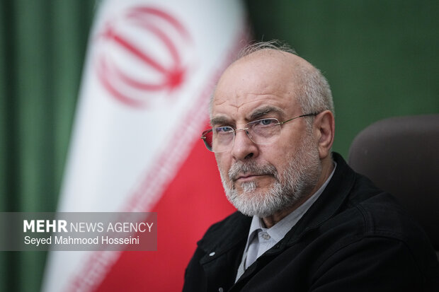 دیدار اعضای شورای هماهنگی دهه فجر با رئیس مجلس شورای اسلامی