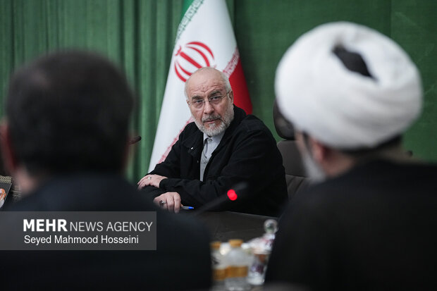 دیدار اعضای شورای هماهنگی دهه فجر با رئیس مجلس شورای اسلامی